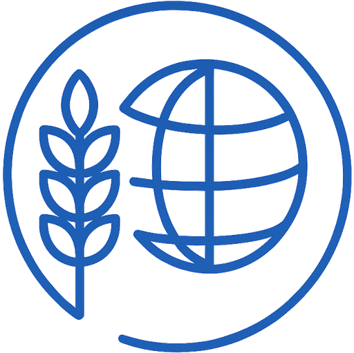 icon local global 512